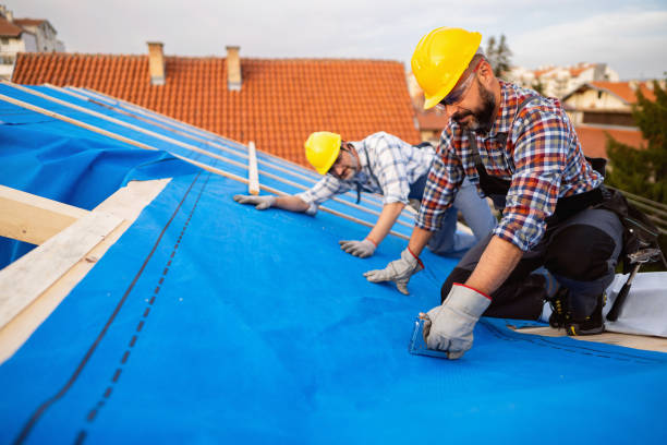 Best Roof Maintenance Services  in Churchville, NY