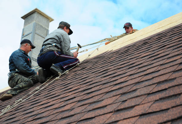 Best Roof Maintenance Services  in Churchville, NY